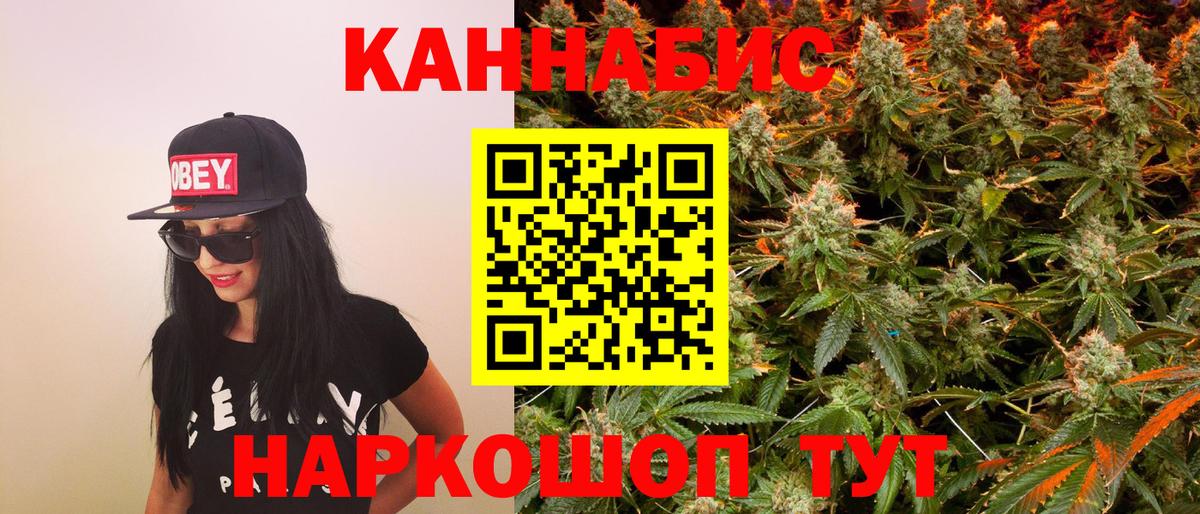Канабис сатива  Вход с VPN  Бошки марихуана план  Медногорск 
